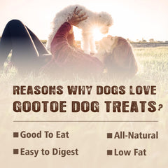 Gootoe-tendones-naturales-sin-artificiales-para-perros snack saludable