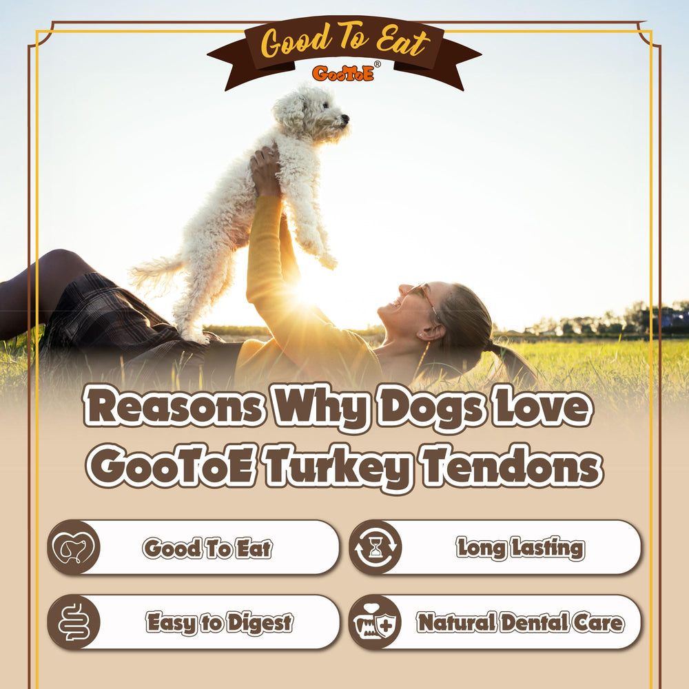 Gootoe Tendones de Pavo para Perros, beneficio dental al masticar.