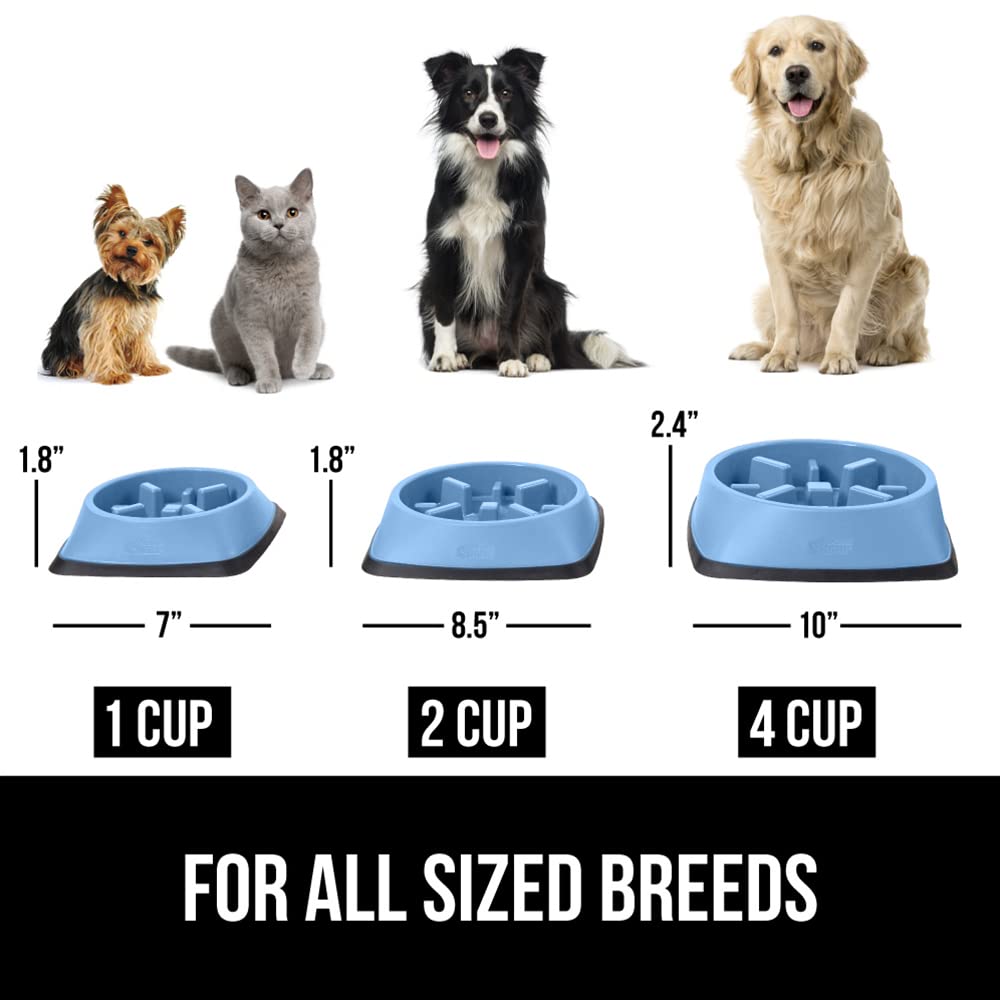 Gorilla Grip available en 1 tasse – portion adaptée pour petits animaux.