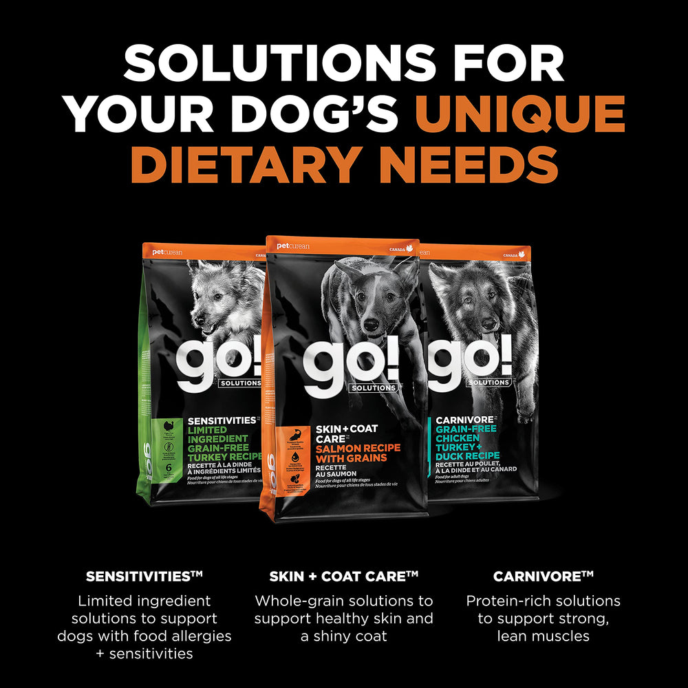 Go! Solutions sin pollo, sabor a salmón para perros sensibles