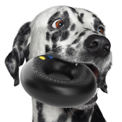 Goughnuts, juguete duro para mordidas intensas, ayuda a mantener al perro ocupado