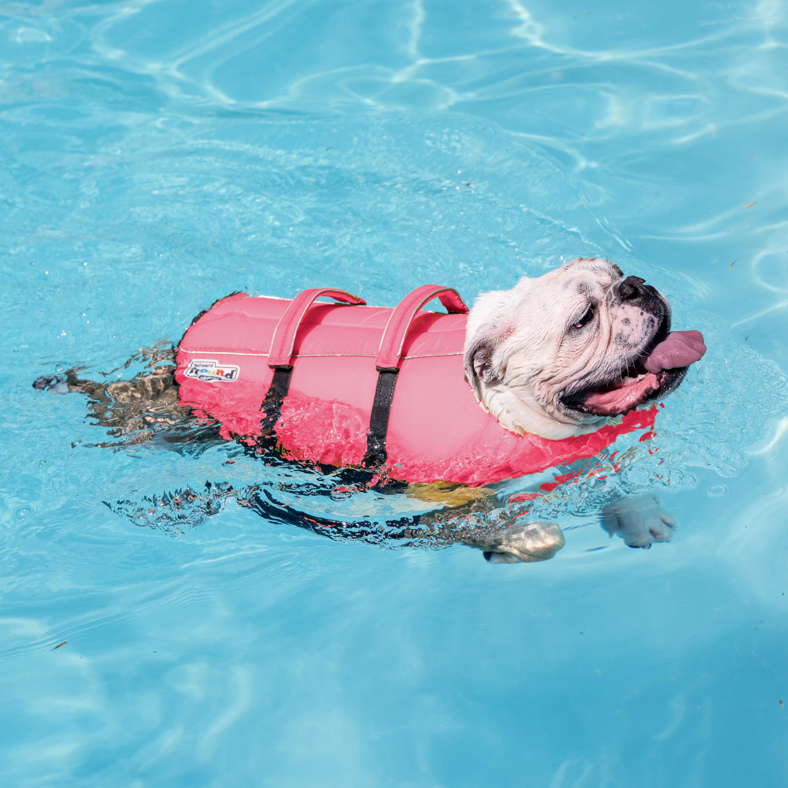 Granby chaleco para perro, material ripstop ligero y duradero.
