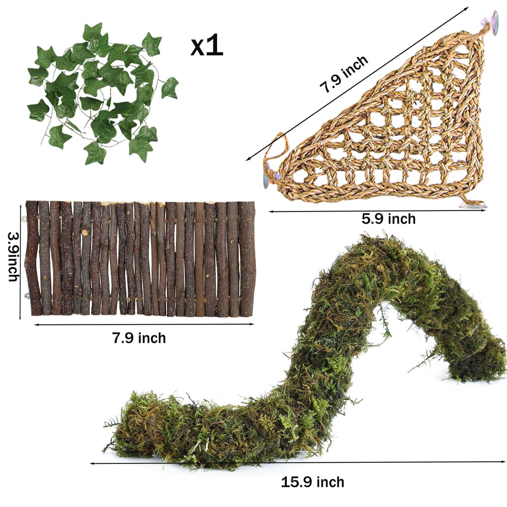 Grddaef Uso Diario del Terrario: instalación rápida y ordenada.