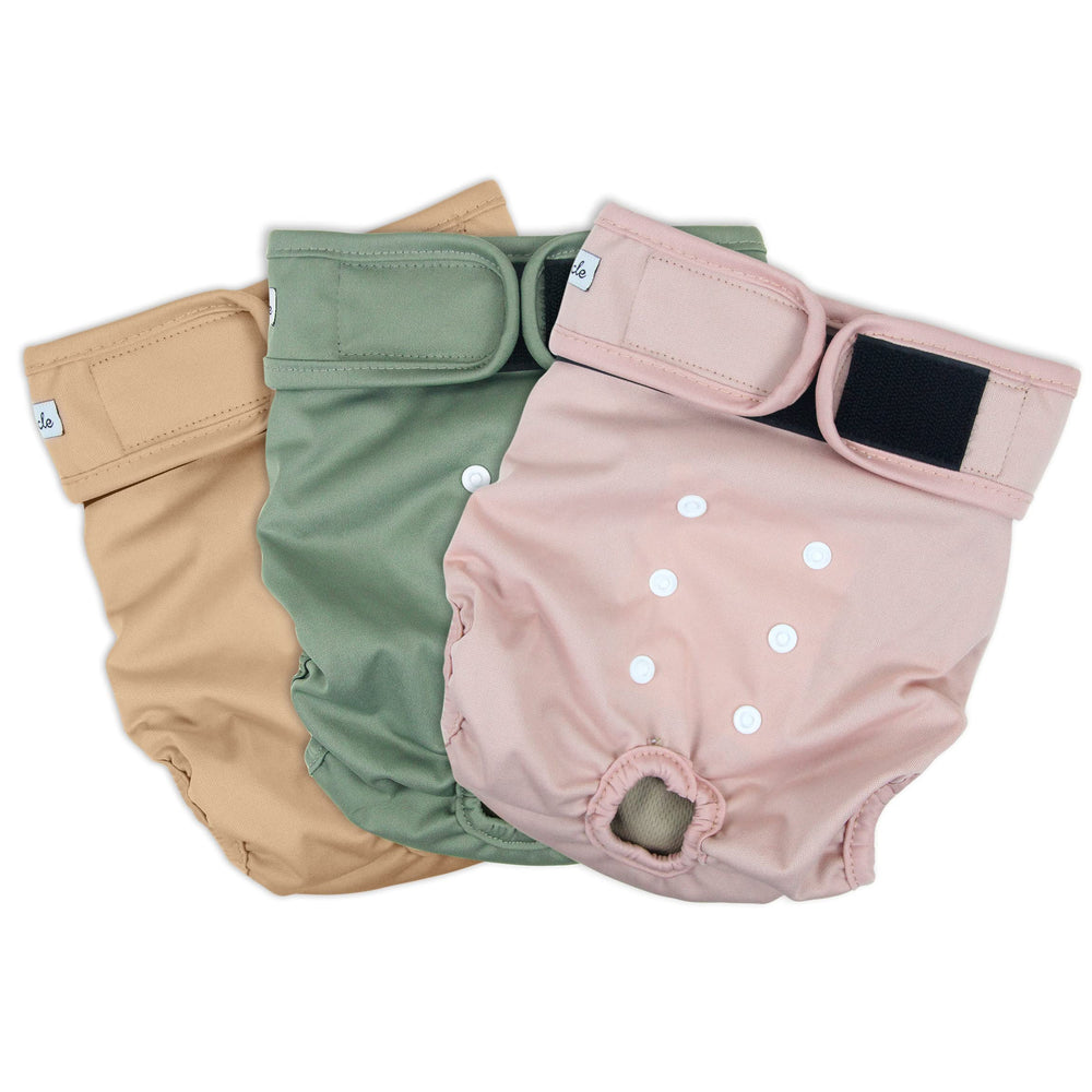Grecle pañales con absorcion alta para proteccion durante la incontinencia.
