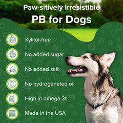 Juguete para lamer relleno con Green Coast Pet, experiencia interactiva para perros.