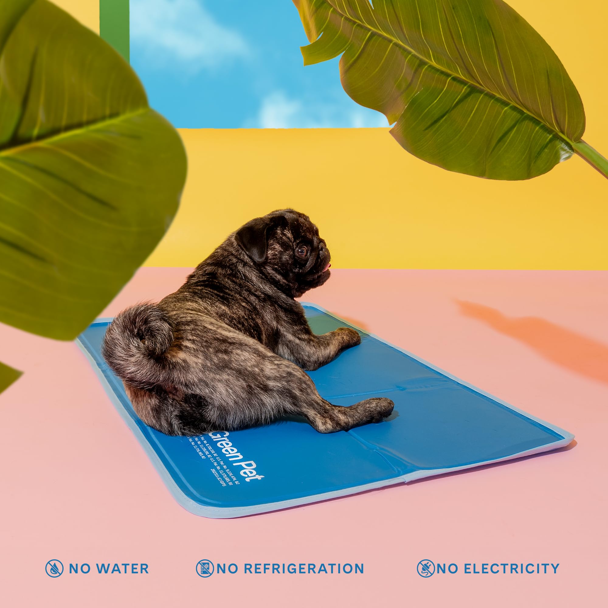 The Green Pet Shop uso-interior-exterior: comodidad estable para tu mascota