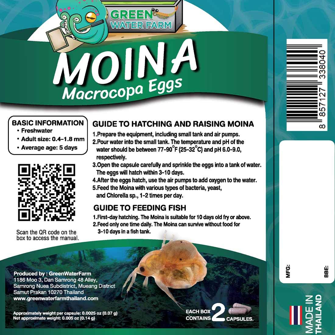 GREEN WATER FARM Moina Macrocopa Huevos vivos, vista cercana para alimentar crías.