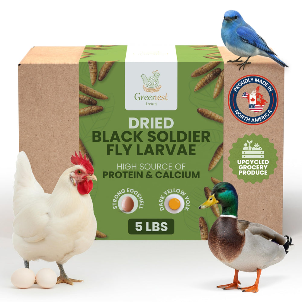 Greenest Treats larvas mosca soldado para pollos, snack proteico para aves.