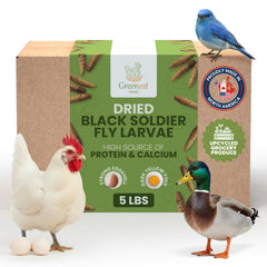 Greenest Treats larvas mosca soldado para pollos, snack proteico para aves.