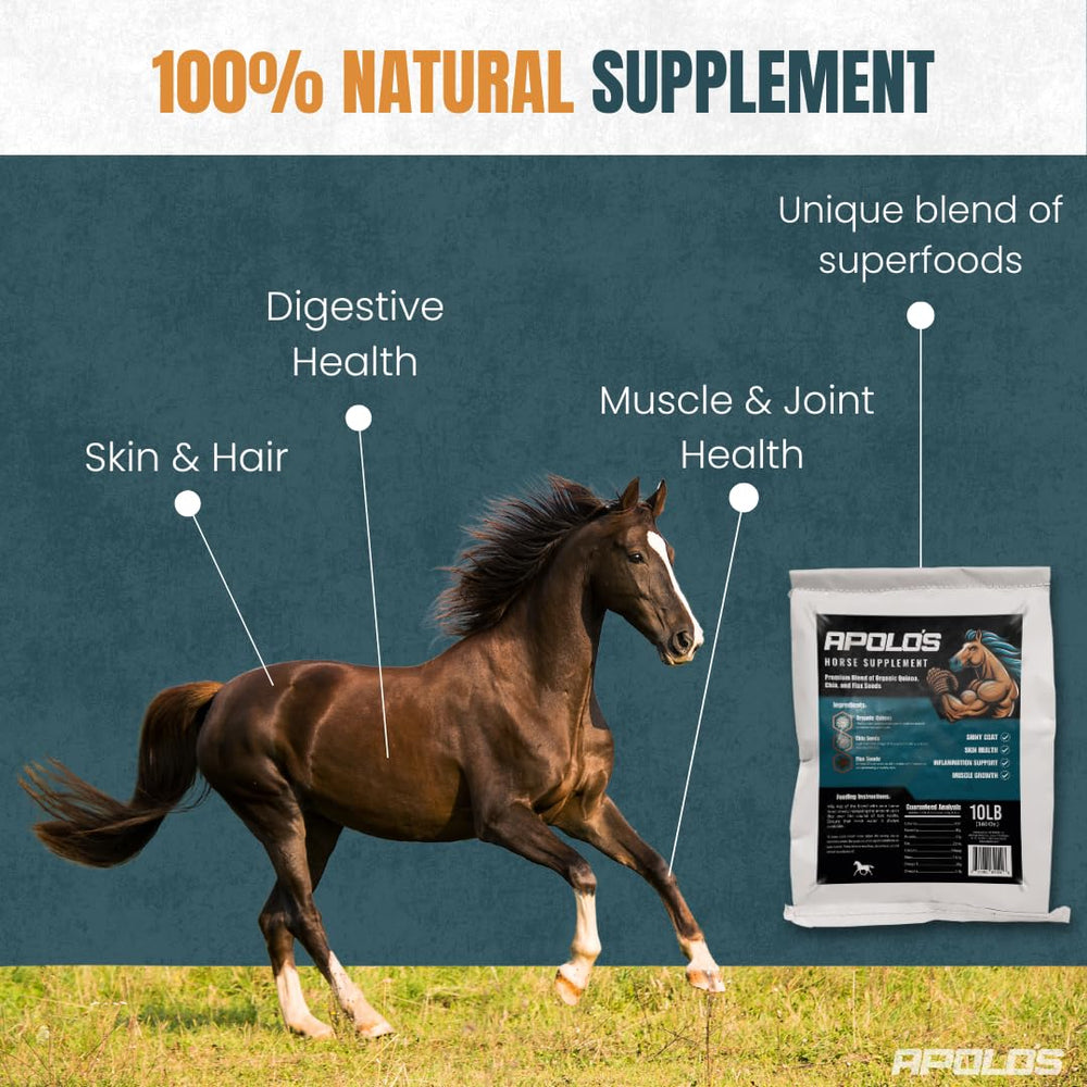 Greenfit APOLO'S mezcla de quinua, chia y linaza para nutrición natural.