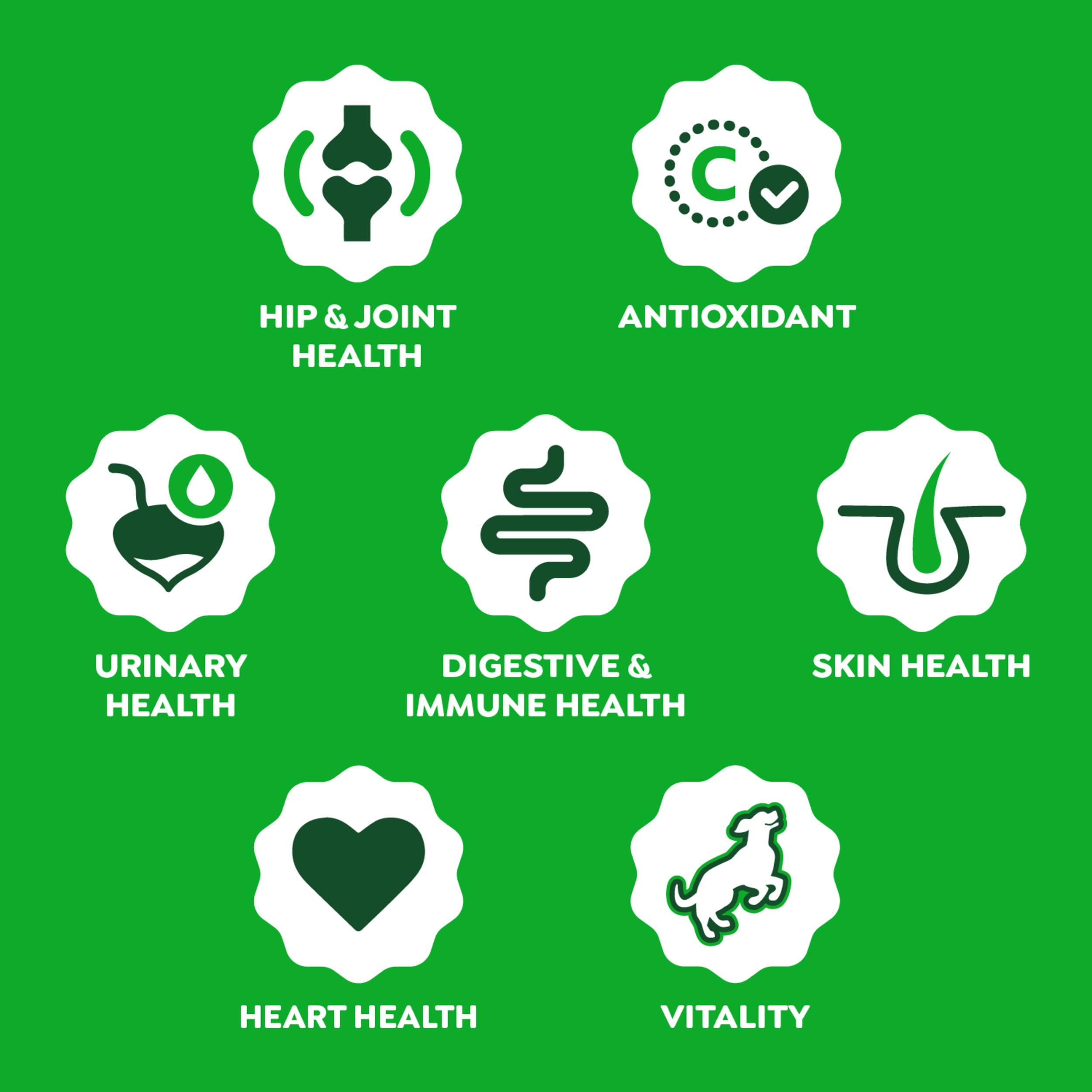 Greenies 8-in-1 formula with glucosamine supports joints and mobility.