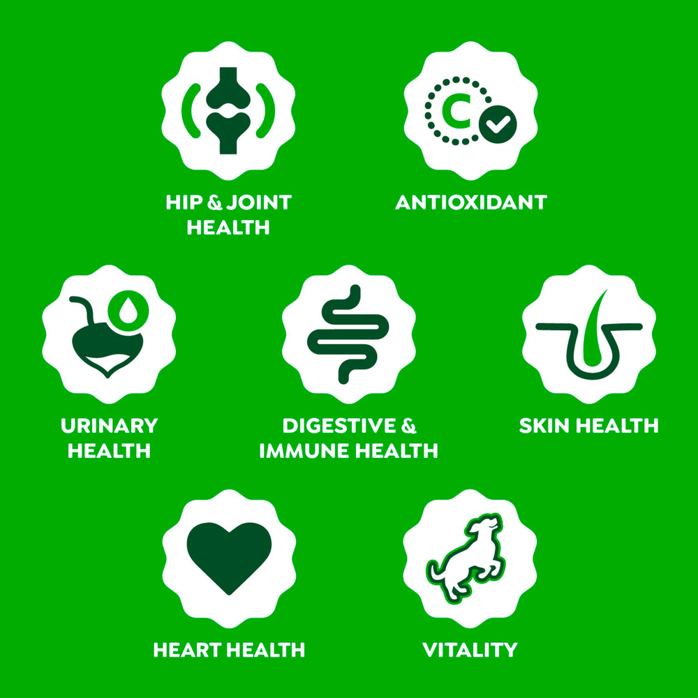 Greenies 8-in-1 formula with glucosamine supports joints and mobility.