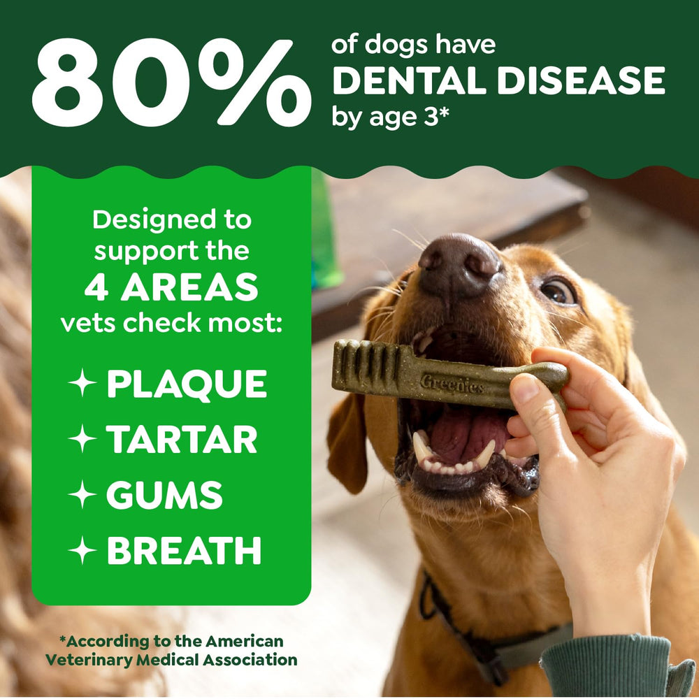 Greenies recomendadas por veterinarios para el cuidado dental diario de cachorros.