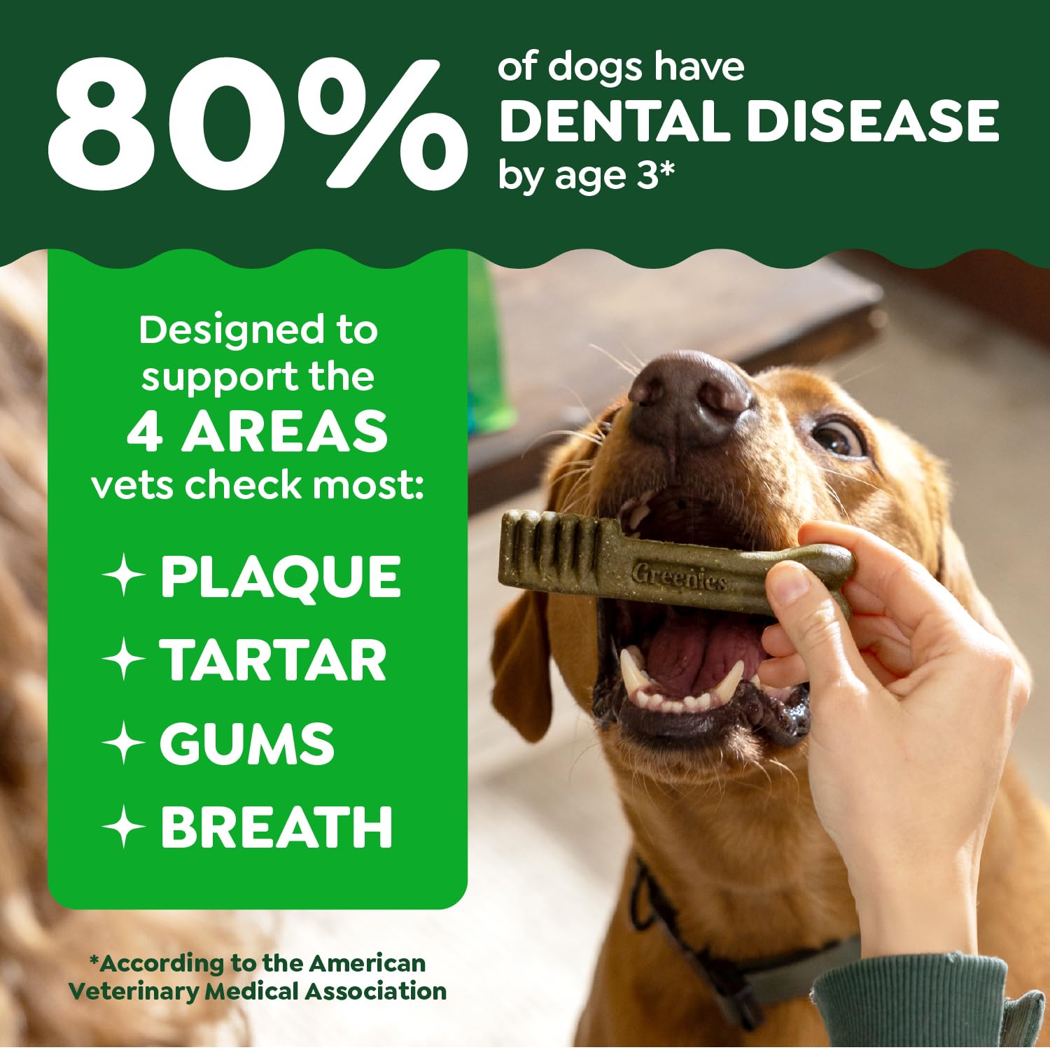 Greenies Teenie masticables para cachorros, ayudan a limpiar dientes y aliento.