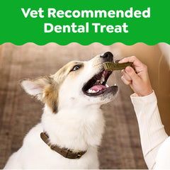 Greenies con textura única para limpieza dental en perros grandes.