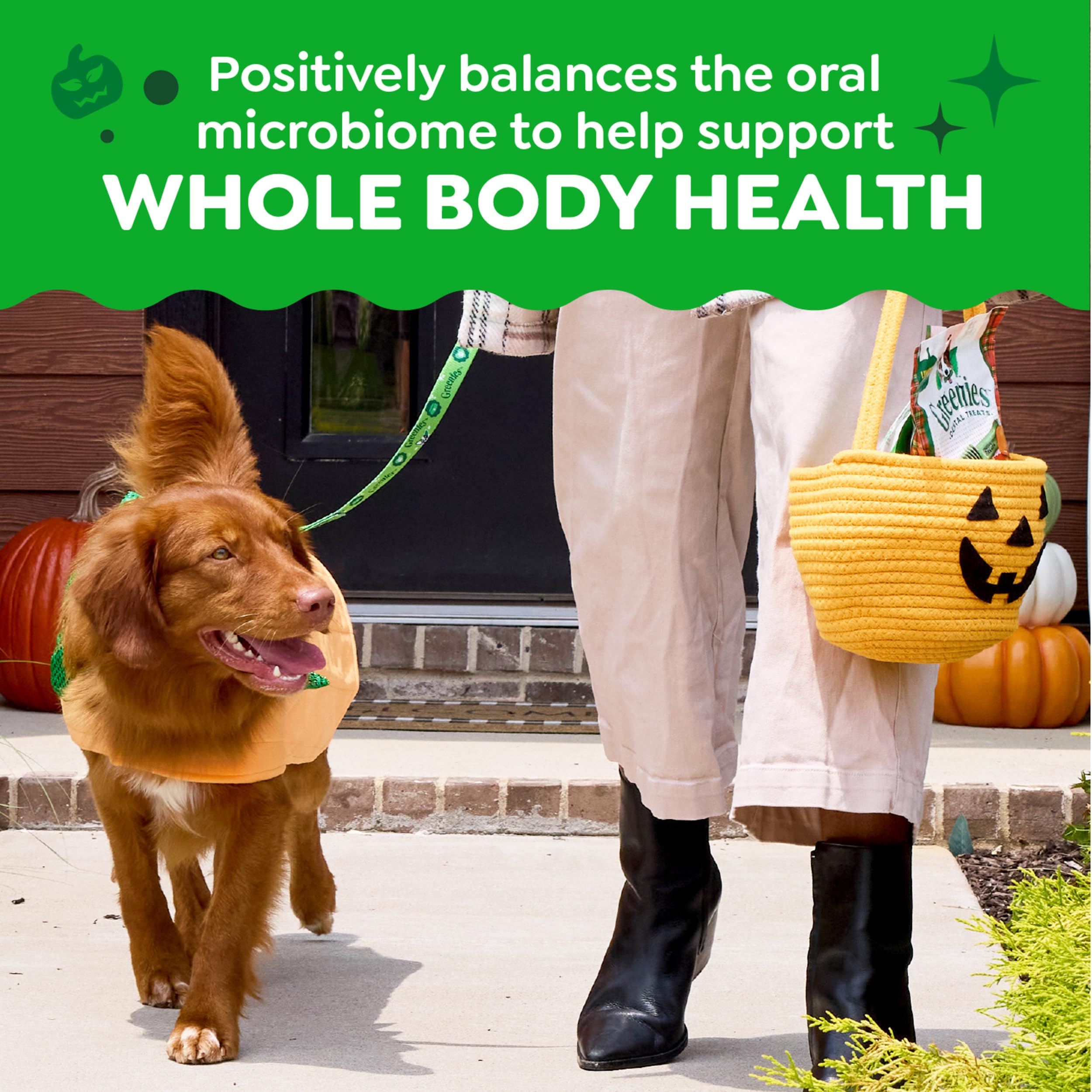 Greenies para higiene oral diaria de perros.