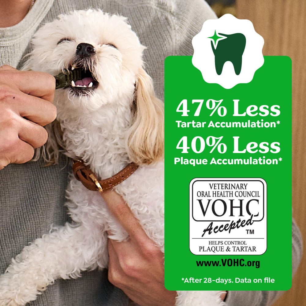 Textura masticable de Greenies para cuidado dental progresivo.