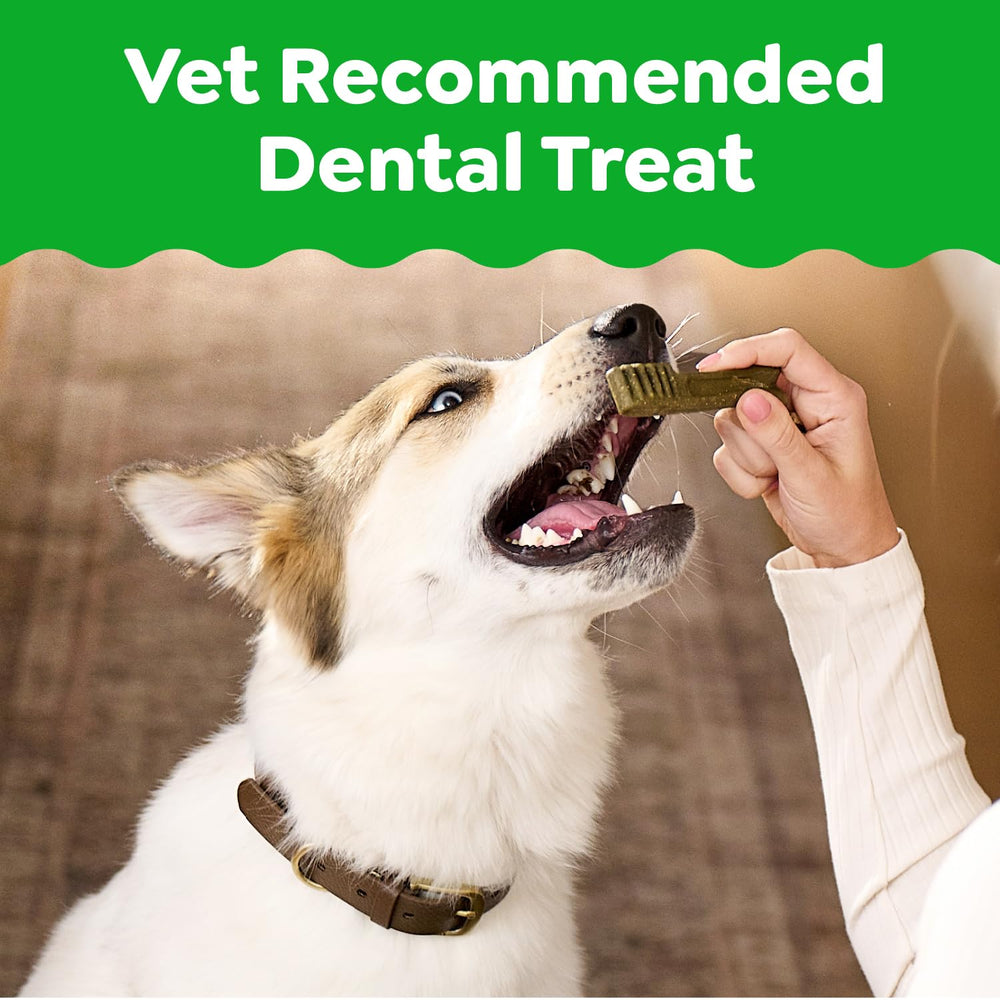 Trozos dentales Greenies originales para perros grandes, mejor higiene bucal.