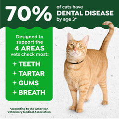 Greenies Gato textura crujiente que ayuda a limpiar encías.