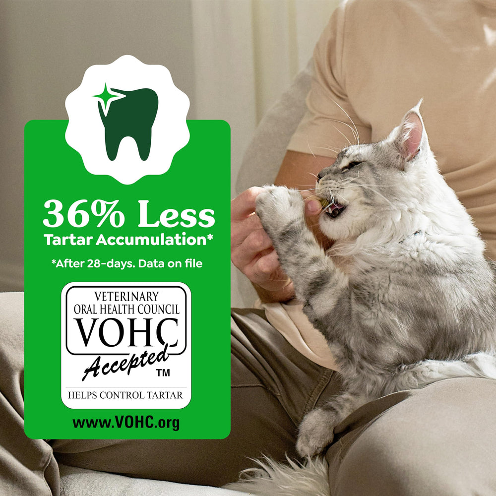 Greenies Gatos: snack con nutrientes y sabor delicioso para momentos de juego.