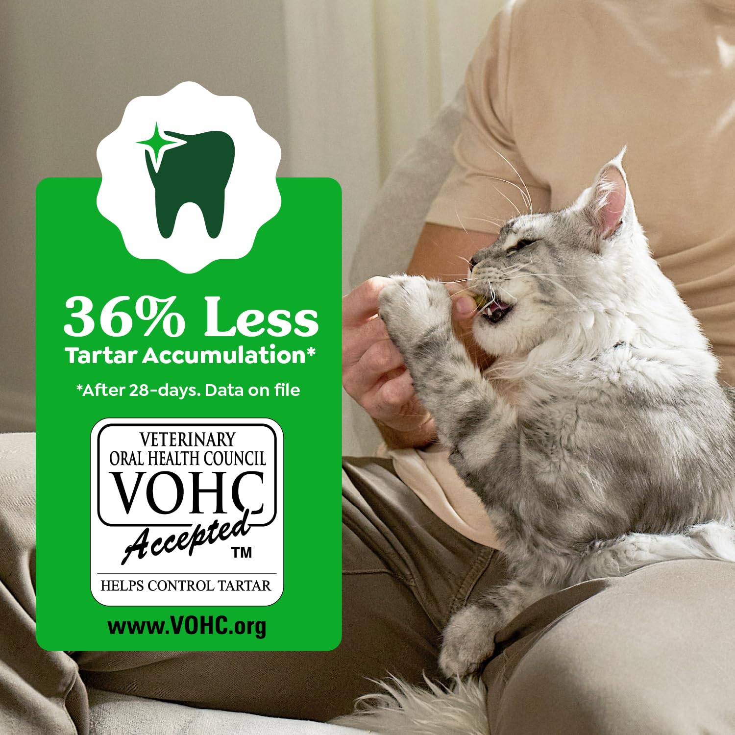 Greenies para gatos: recomendado por veterinarios como snack de apoyo dental.