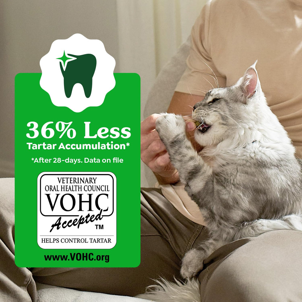 Greenies para gatos: recomendado por veterinarios como snack de apoyo dental.