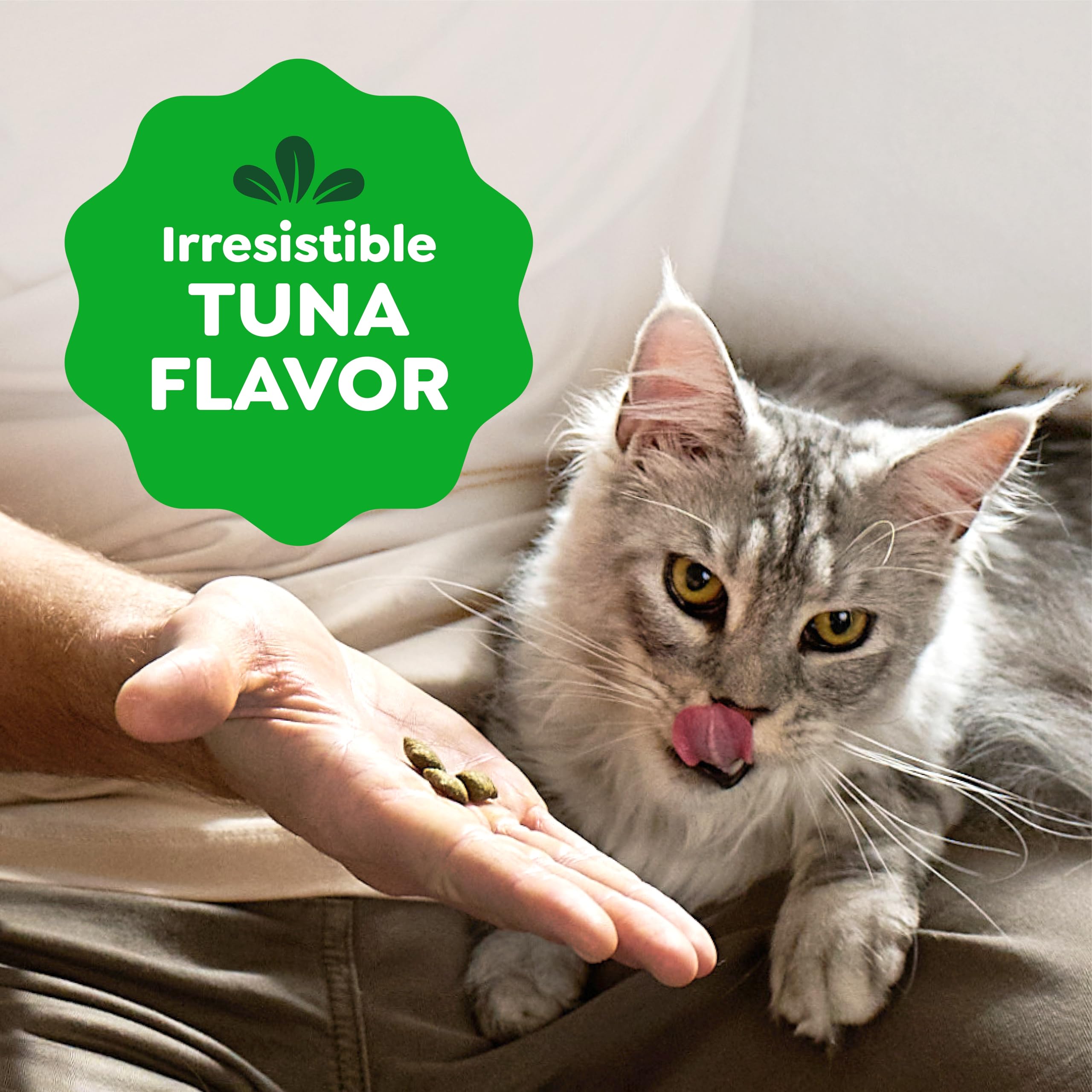 Ideal para jugar con dispensador de premios Greenies.