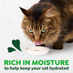 Greenies marine microalgae omega-3 oil shown as nourishing skin and coat support.