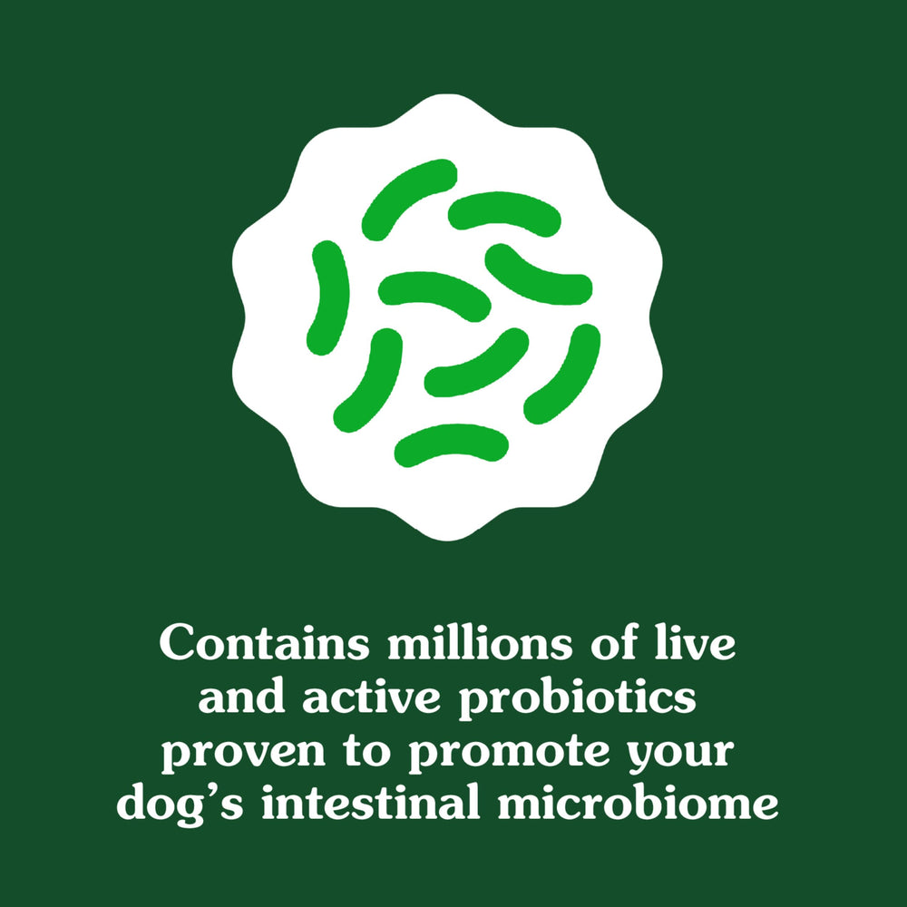 Mélange biotique Greenies : prébiotique, probiotiques et postbiotiques.
