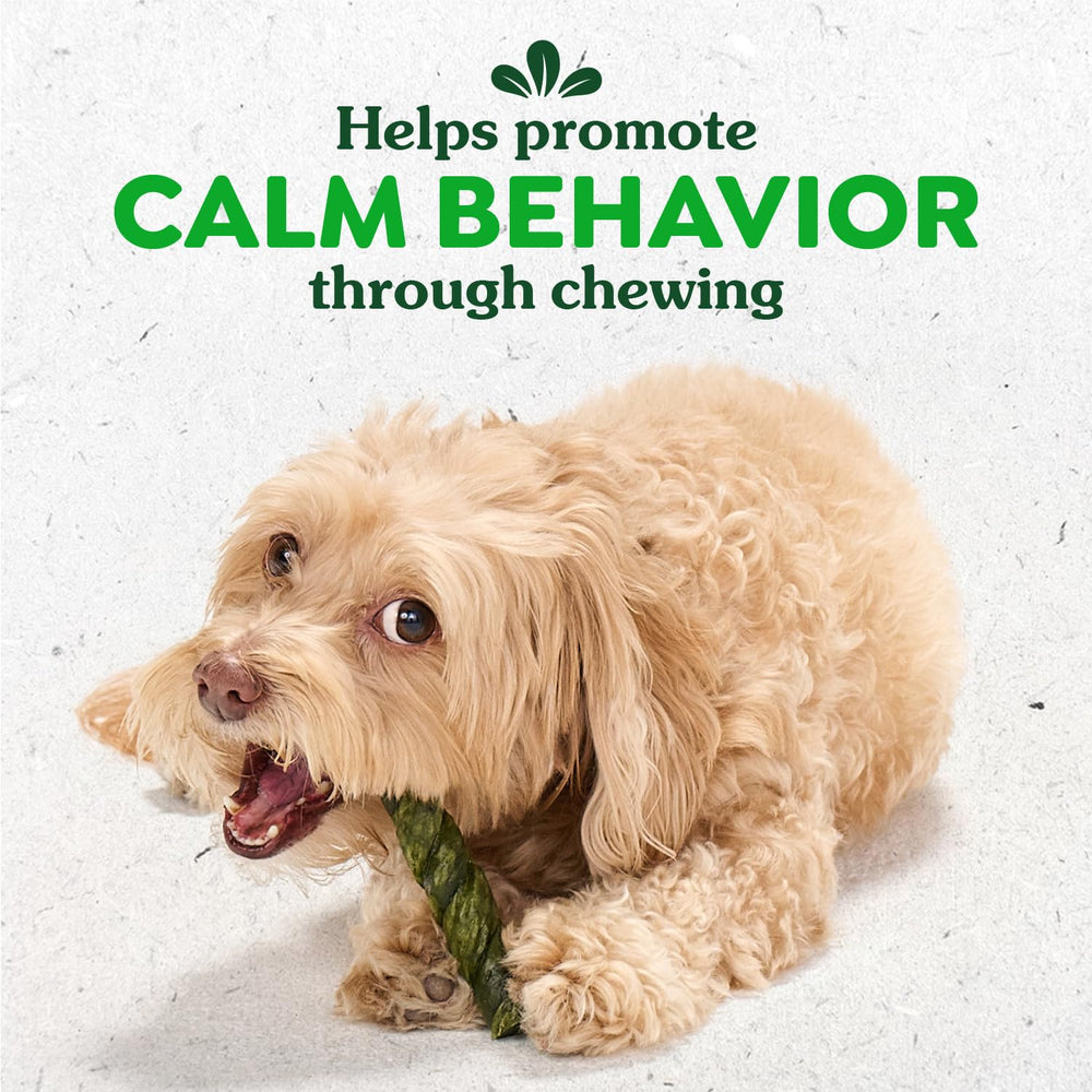 Greenies Occupy Twists: cuidado dental con pollo real para perros grandes durante la masticación