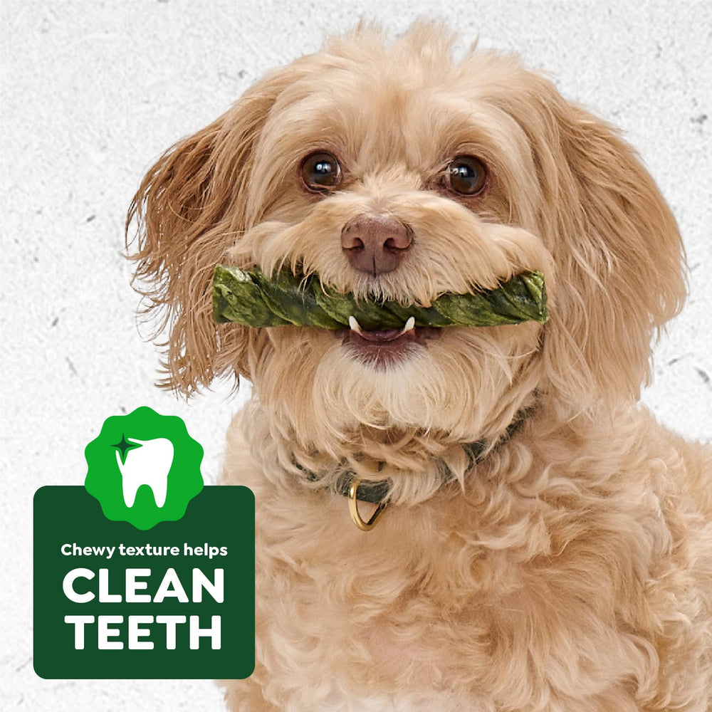 Greenies Occupy Twists: tamaño regular recomendado para perros de 25 a 50 lb.