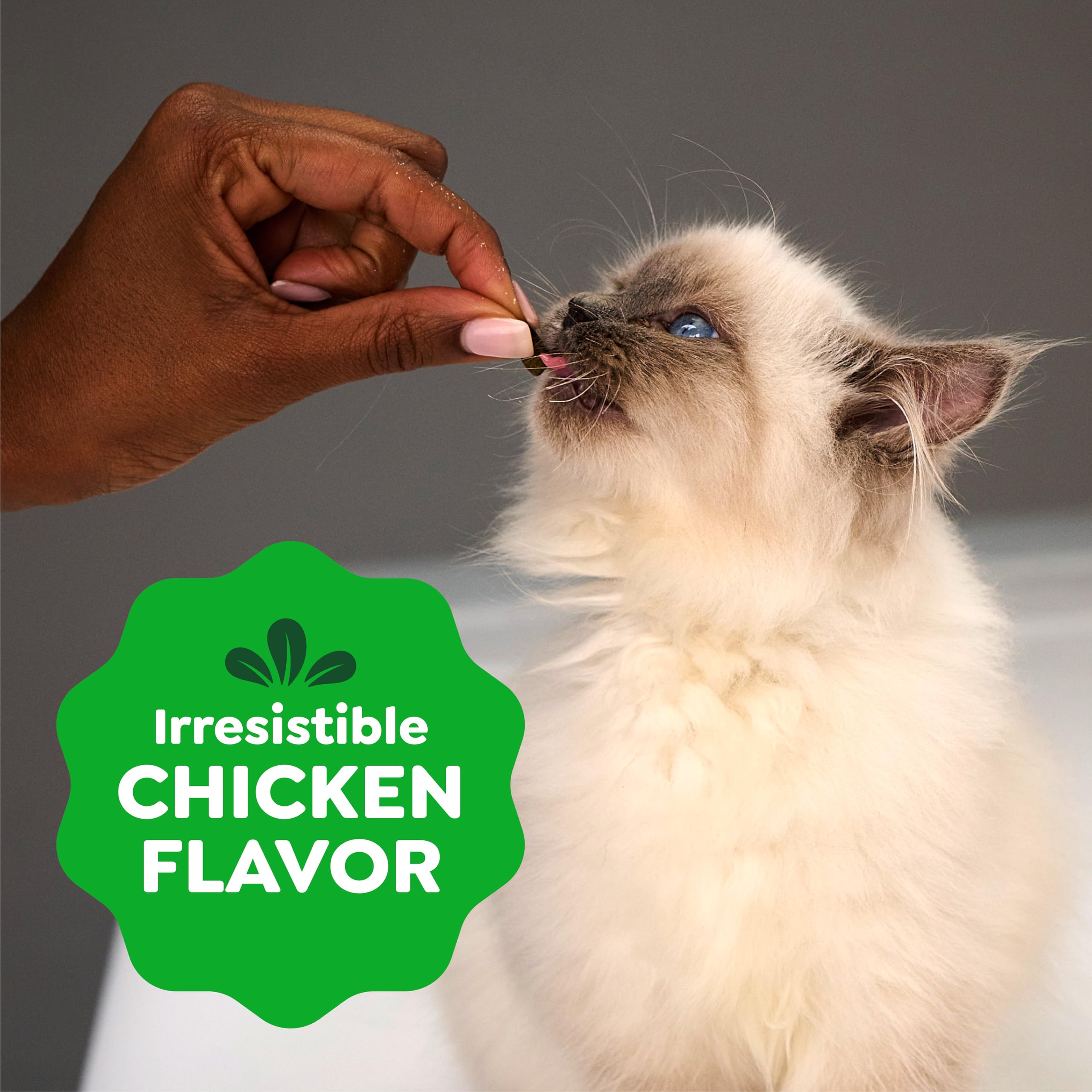 Greenies Smartbites gatitos, beneficios dentales en una golosina