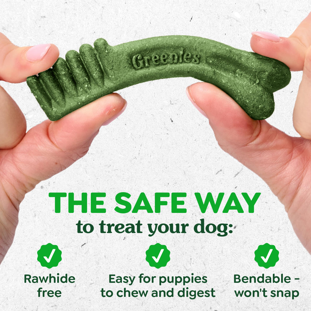 Greenies Teenie: DHA para desarrollo cerebral en cachorros
