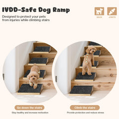 GreenPetopia rampa para perros, vista lateral, ideal para perros pequeños.