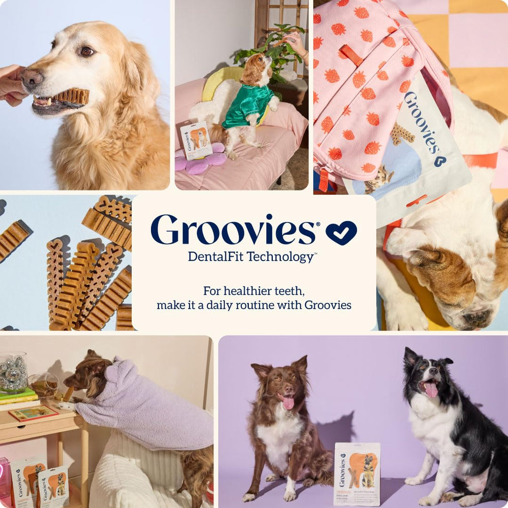 Groovies estructura flexible DentalFit facilita la interacción dental en cada mordisco.