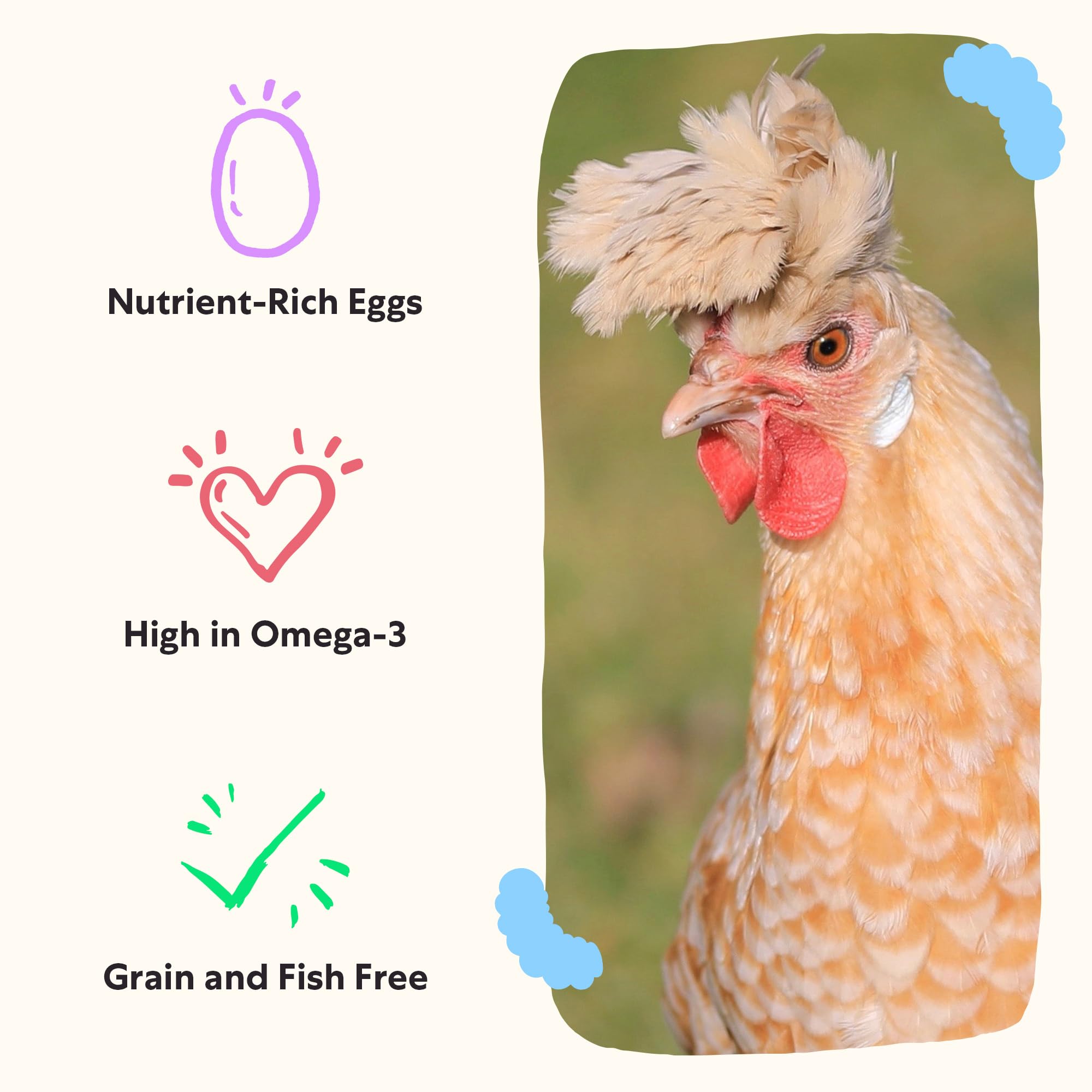 Grubbly Farms Omega Mix: dos cucharadas por ave facilita la suplementación.