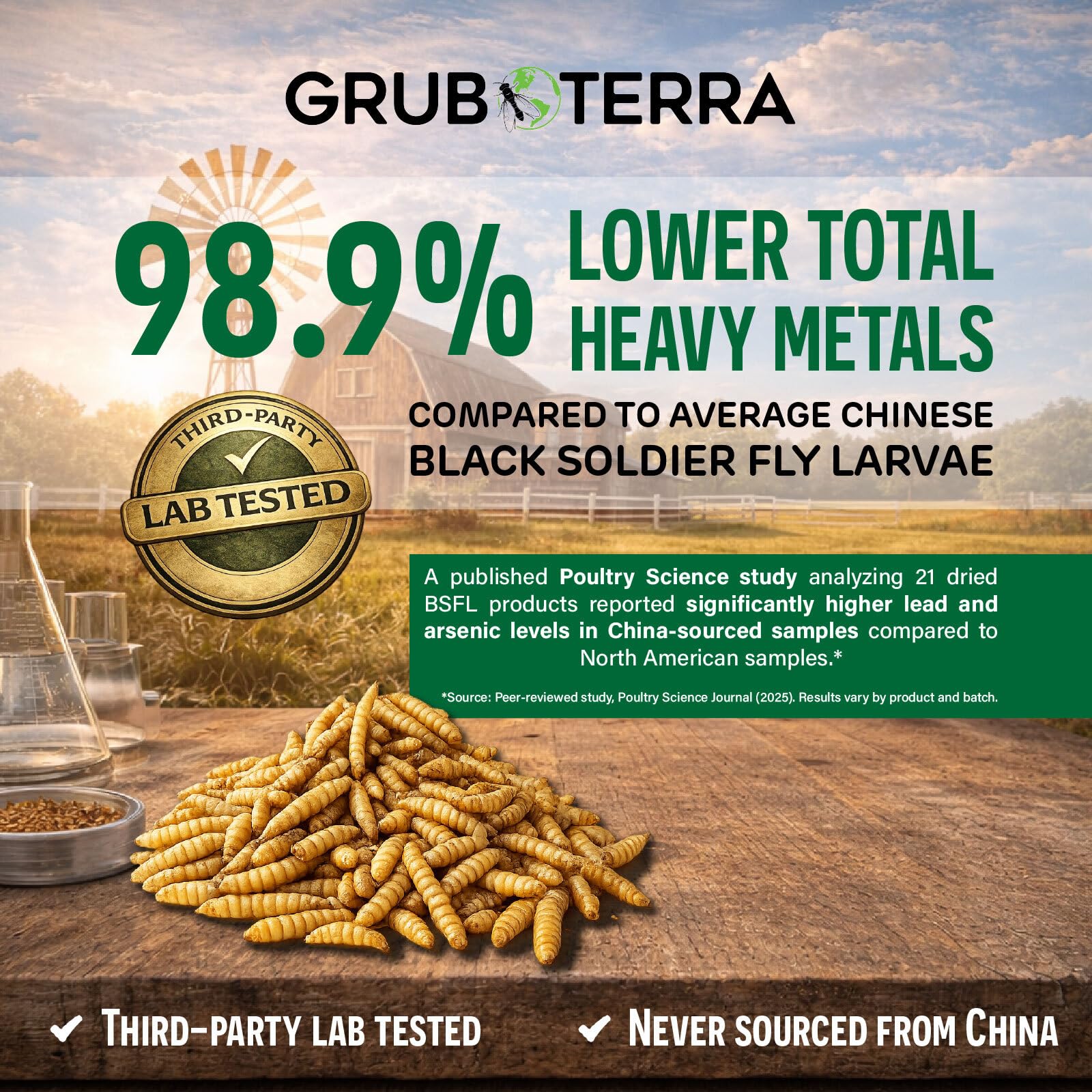 GrubTerra larvas deshidratadas para gallinas, complemento proteico diario.