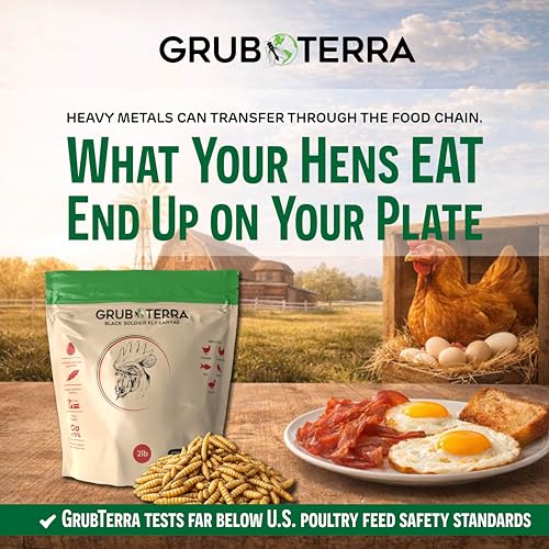 GrubTerra larvas secas en taza de alimentación para variada ración