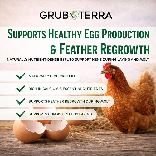 GrubTerra proteína alta y calcio para gallinas, apoyo nutricional.