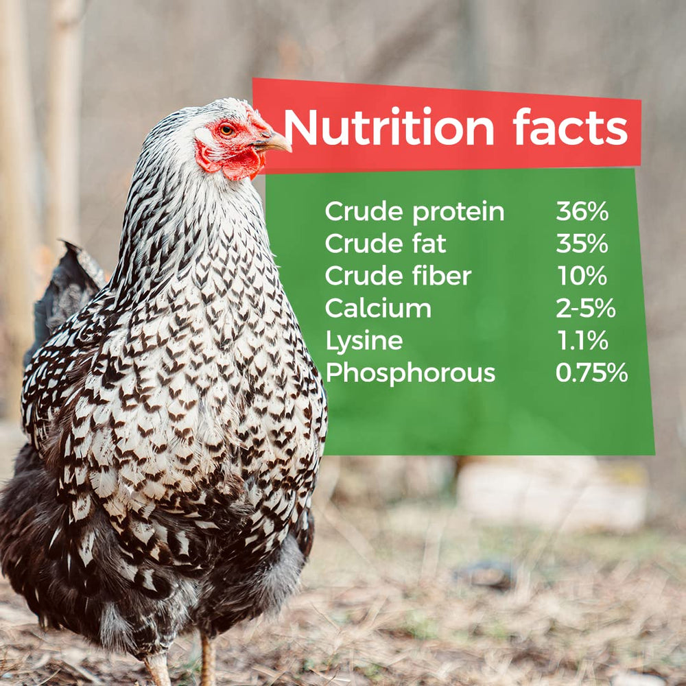 GrubTerra uso diario en casa de aves, práctico y fácil.