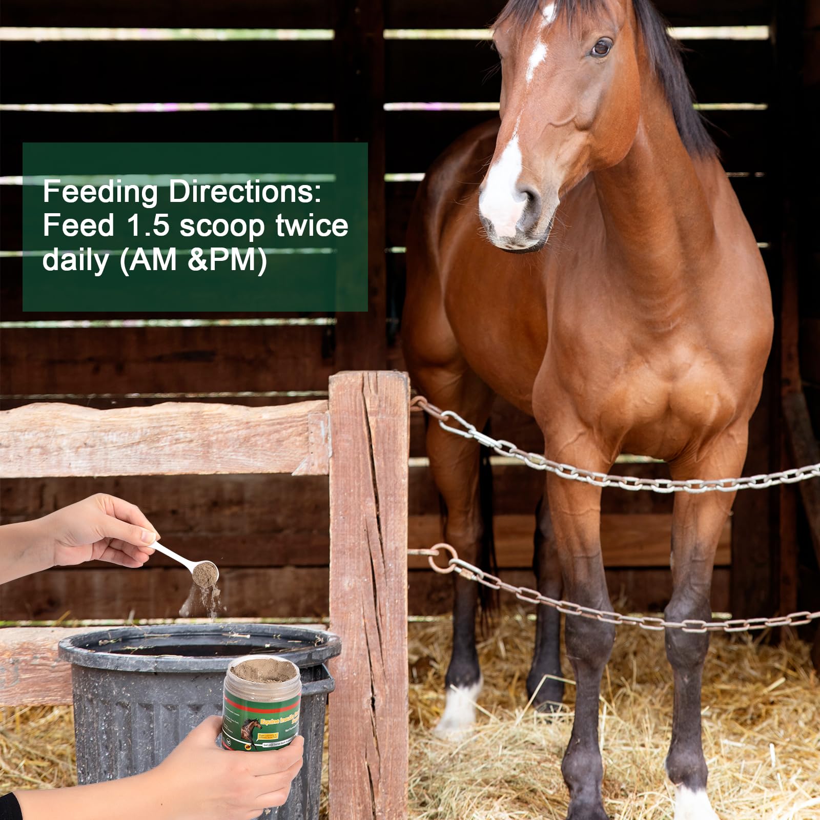 Guanshiya ingredientes naturales canela jengibre: apoyo suave para la movilidad del caballo