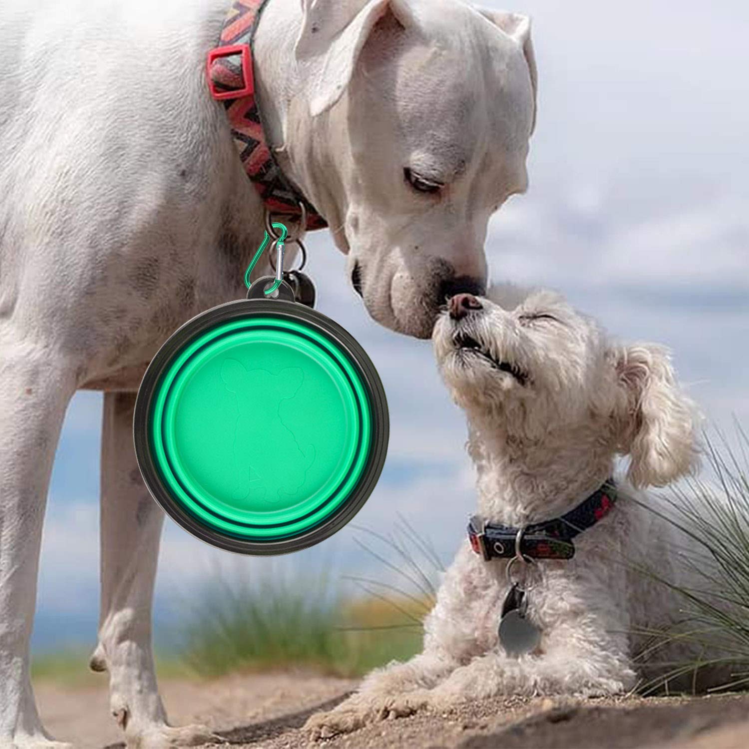 Guardians cuenco plegable para gatos, perfecto para salidas al aire libre