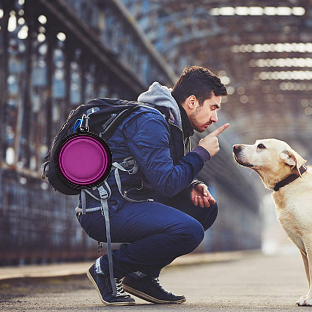 Guardians tazón plegable para perro 34oz rojo, perfecto para caminatas.