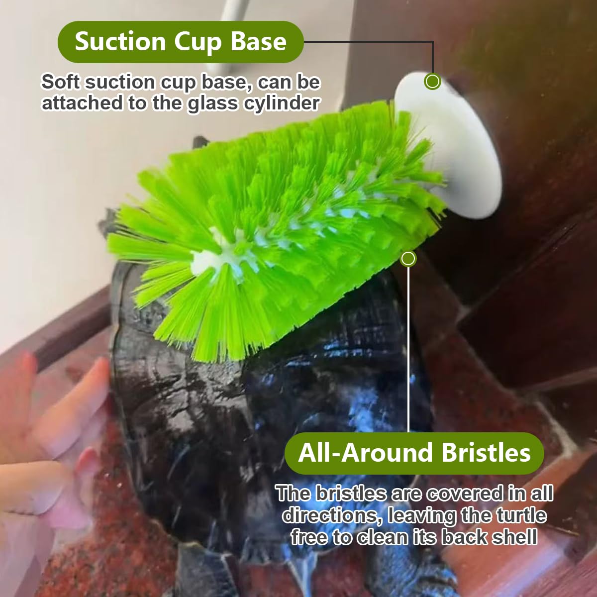 Gucvdnple decoraciones para tanque tortuga crean un hábitat más estimulante.