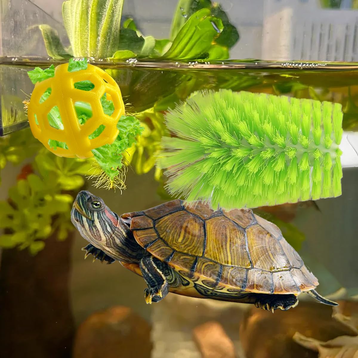 Gucvdnple kit inicio tanque tortuga ofrece lo básico para empezar.