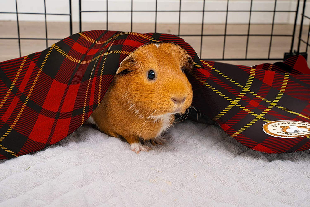 GuineaDad diseño de dos capas para absorción y limpieza.