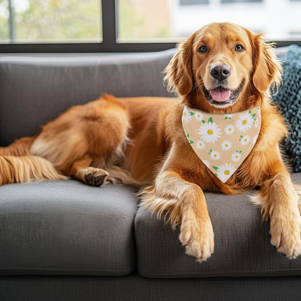 Bandana guiqulai floral para perro grande en amarillo, mejor visibilidad en caminatas.