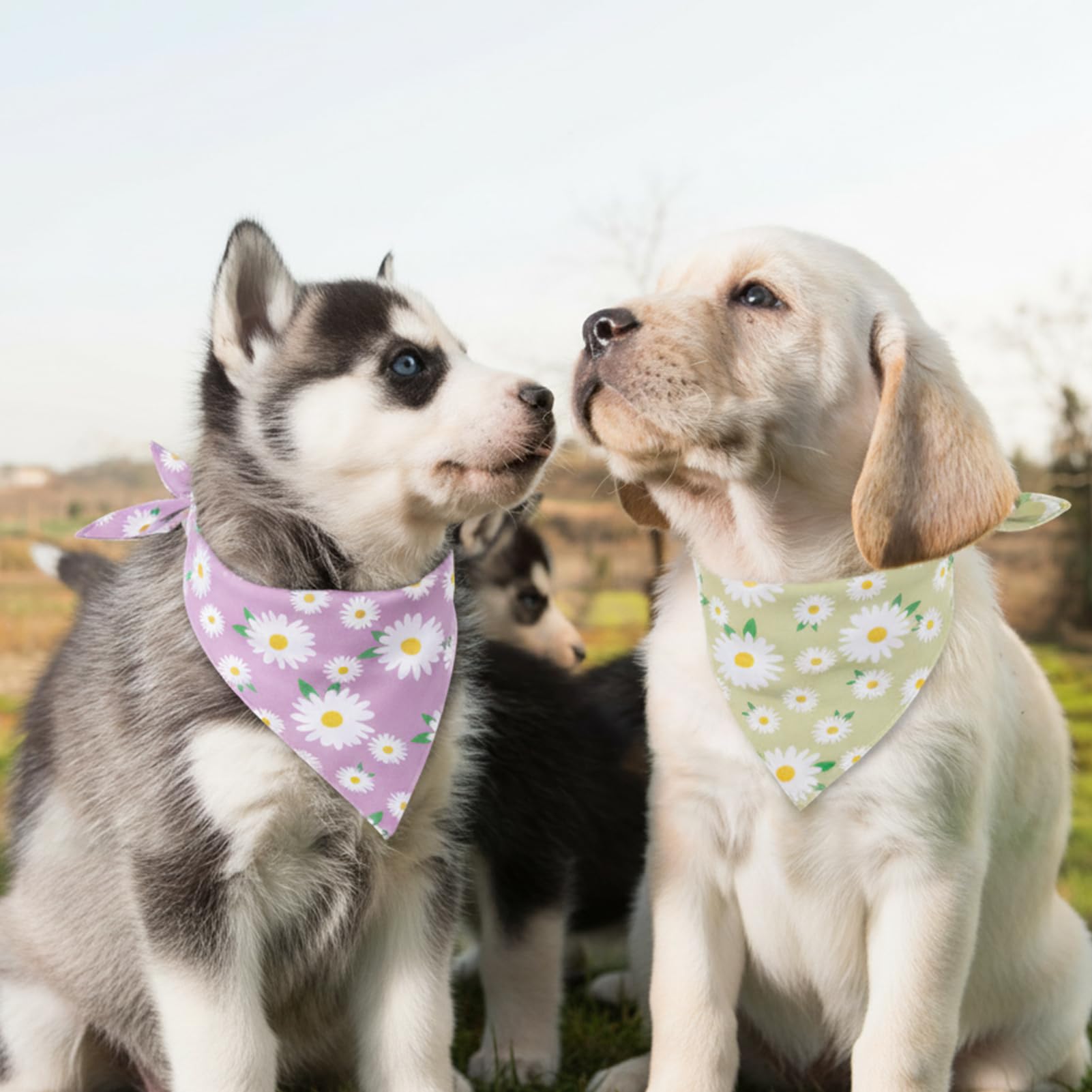 Bandana guiqulai lavable a máquina, duradera y fácil de ajustar para perros grandes.