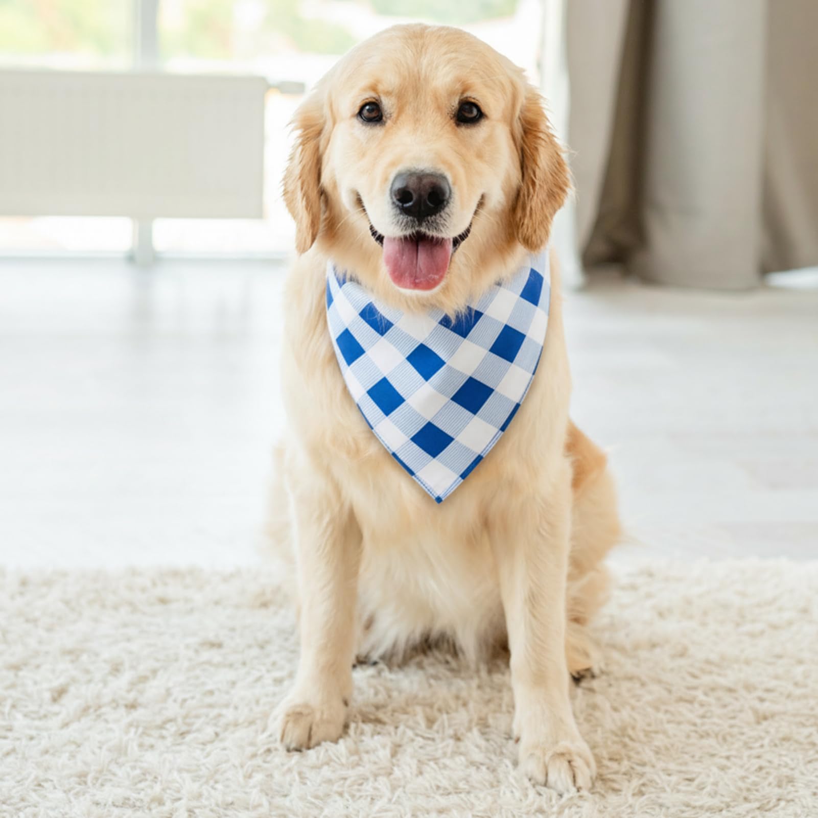 Bandana de uso diario para perro Guiqulai, opción colorida para primavera y verano.