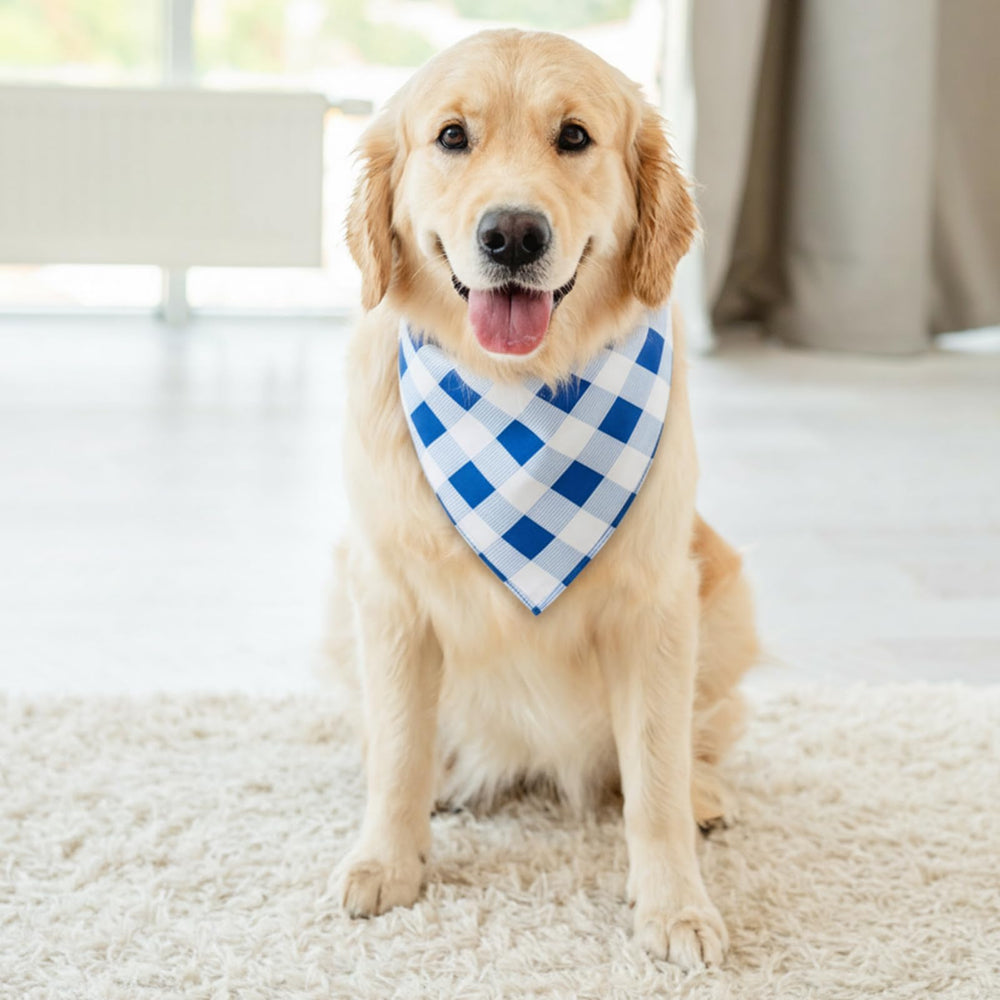 Bandana de uso diario para perro Guiqulai, opción colorida para primavera y verano.